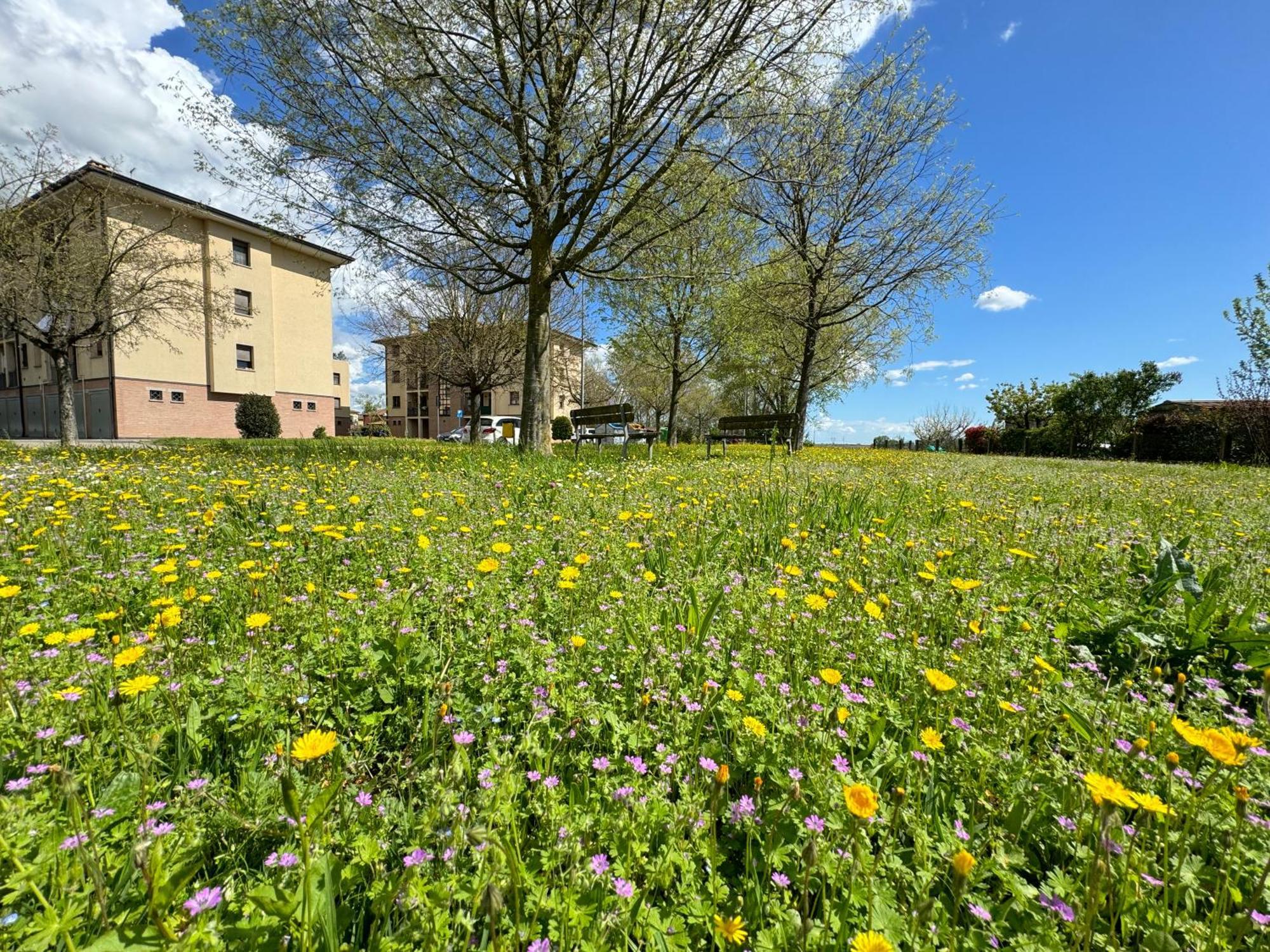 Nel Cuore Della Natura - Parcheggio Gratuito - Wi-Fi Lejlighed Mezzolara Eksteriør billede